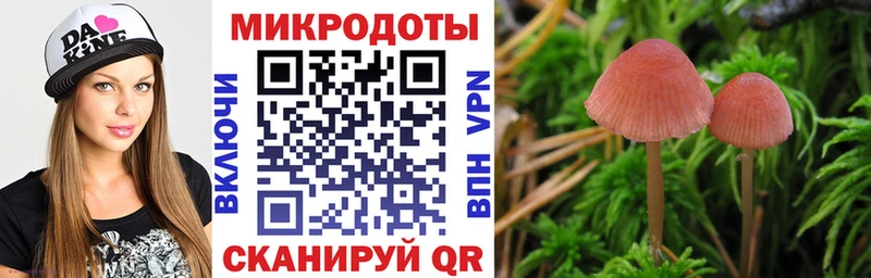 Галлюциногенные грибы Cubensis Апшеронск