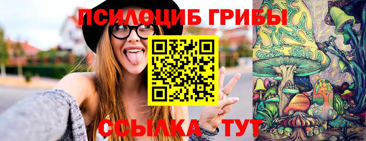 Апшеронск  Псилоцибиновые грибы MAGIC MUSHROOMS  где продают   Вход с VPN 